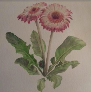 flower-watercolor